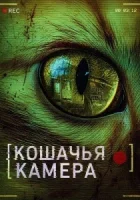 Кошачья камера смотреть онлайн (2026) бесплатно в HD